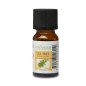 Huiles Essentielles Arbre à Thé - 10 ml