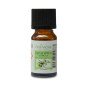 Huiles Essentielles Eucalyptus - 10 ml