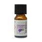 Huiles Essentielles Lavandin Grosso - 10 ml