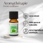 Huiles Essentielles Menthe Arvensis - 10 ml