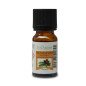 Huiles Essentielles Pin Sylvestre - 10 ml Huiles Essentielles Pin Sylvestre - 10 ml