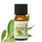 Huiles Essentielles Ravintsara - 10 ml
