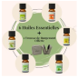 6 Huiles Essentielles + 1 Trousse Offerte
