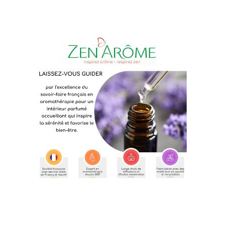 10 Huiles Essentielles + 1 Trousse Offerte