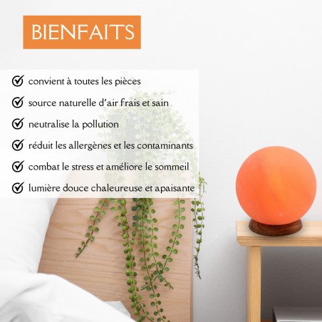 lampe  Sel d'Himalaya