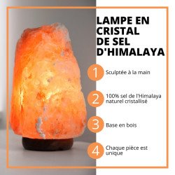 Lampe en Cristal de Sel d'Himalaya de 4 à 6 kg