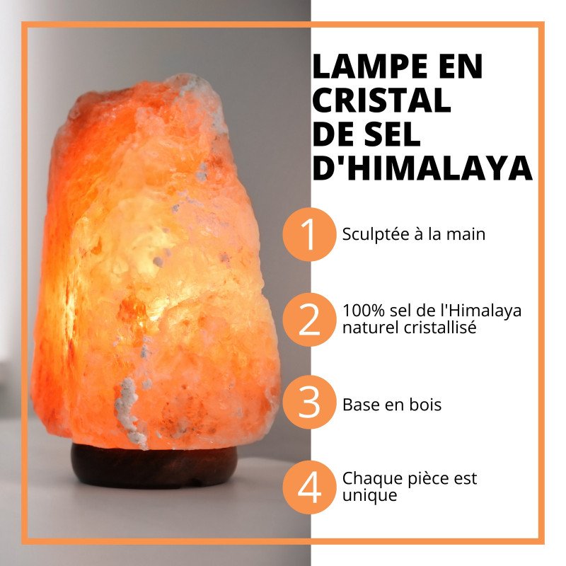 Lampe en Cristal de Sel d'Himalaya de 4 à 6 kg