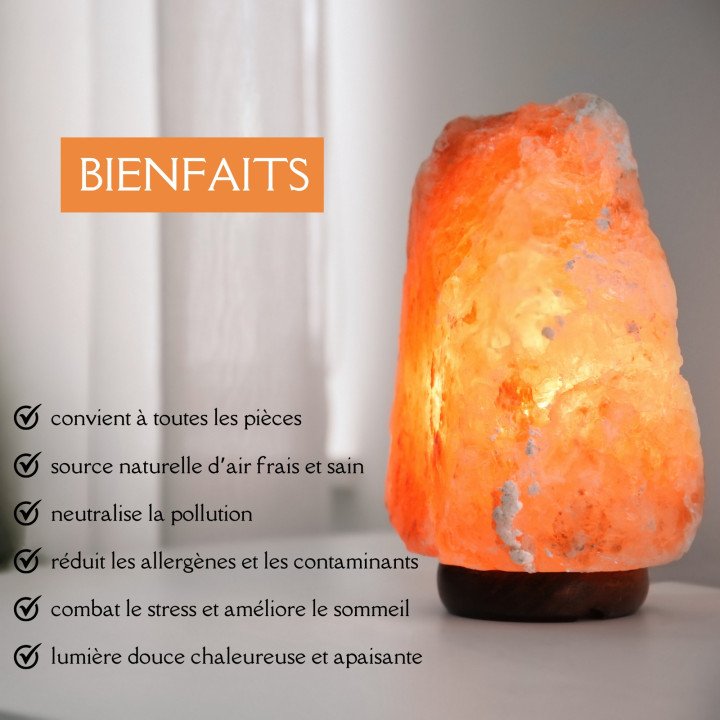 Lampe en Cristal de Sel d'Himalaya