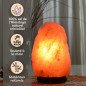 Lampe en Cristal de Sel d'Himalaya de 4 à 6 kg