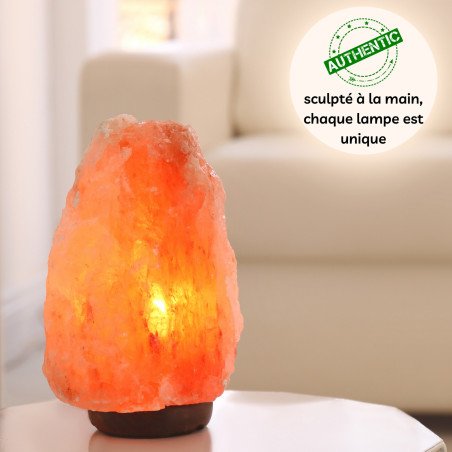 Lampe en Cristal de Sel d'Himalaya