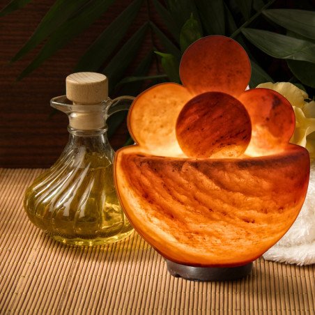 Lampe avec 4 boules de massage en Sel d'Himalaya