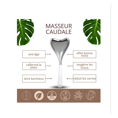 masseur visage et cou