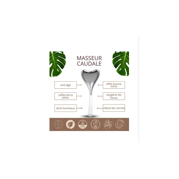 masseur visage et cou
