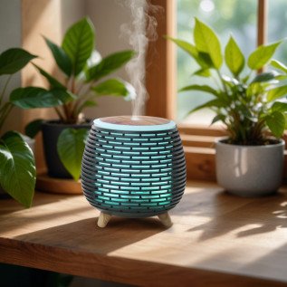 Diffuseur Ultrasonique Leni